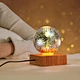 Led Night Light